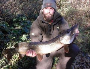 15034949_1819062098334640_2671994679209230336_n