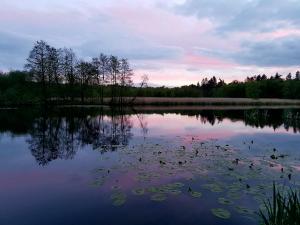 lake6