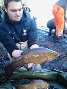 tench3